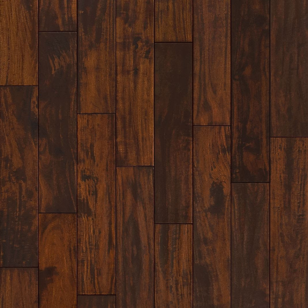 Exotics Collection Acacia - Sample 12"