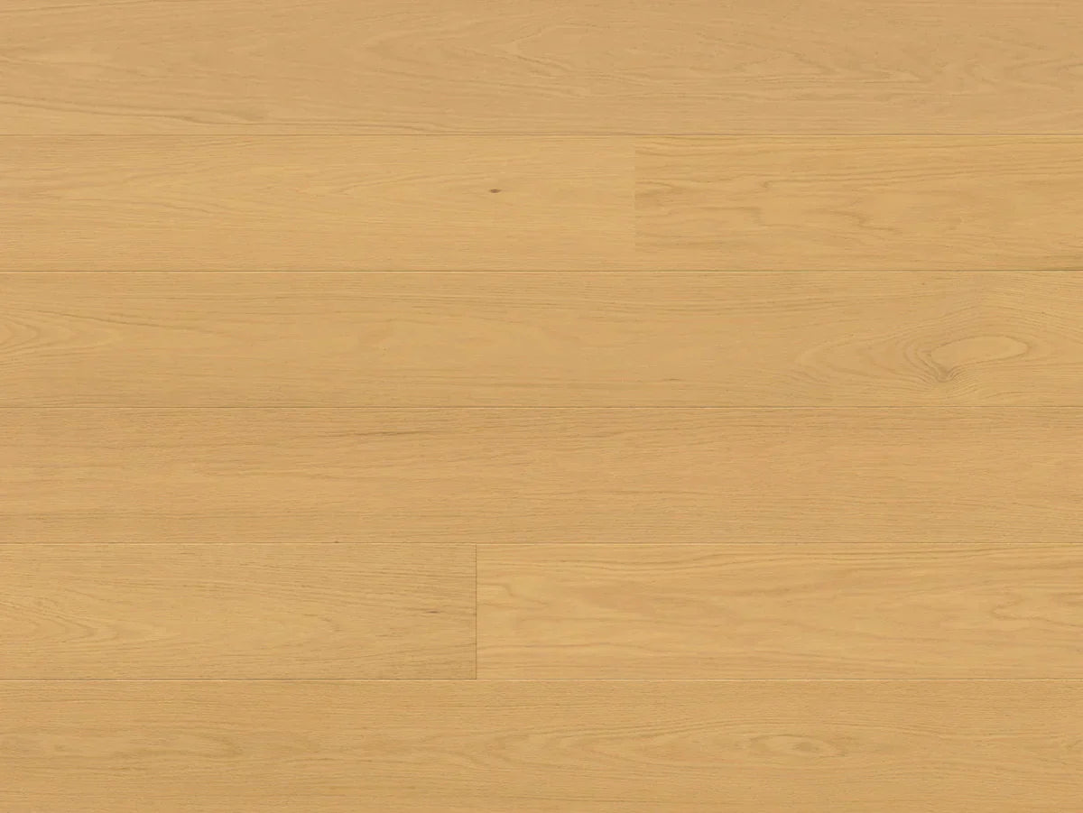 Premio 6 1/2" - Sample 12"