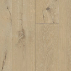 Atelier Collection 9-1/2″