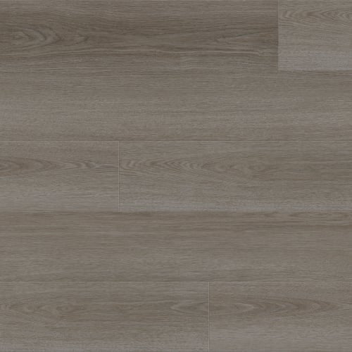 Double Take - Sample 12"