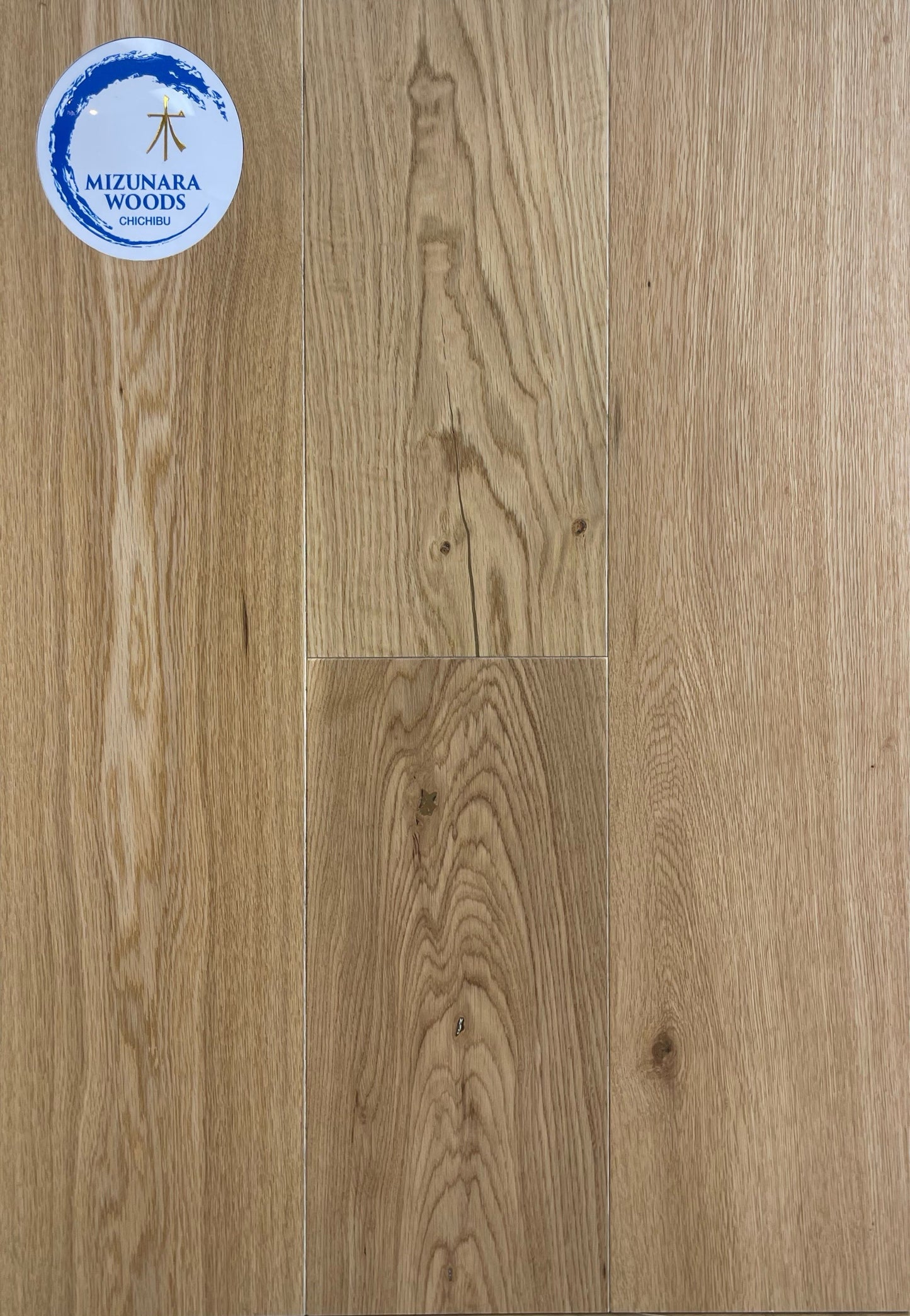 Mizunara Woods - Sample 12"