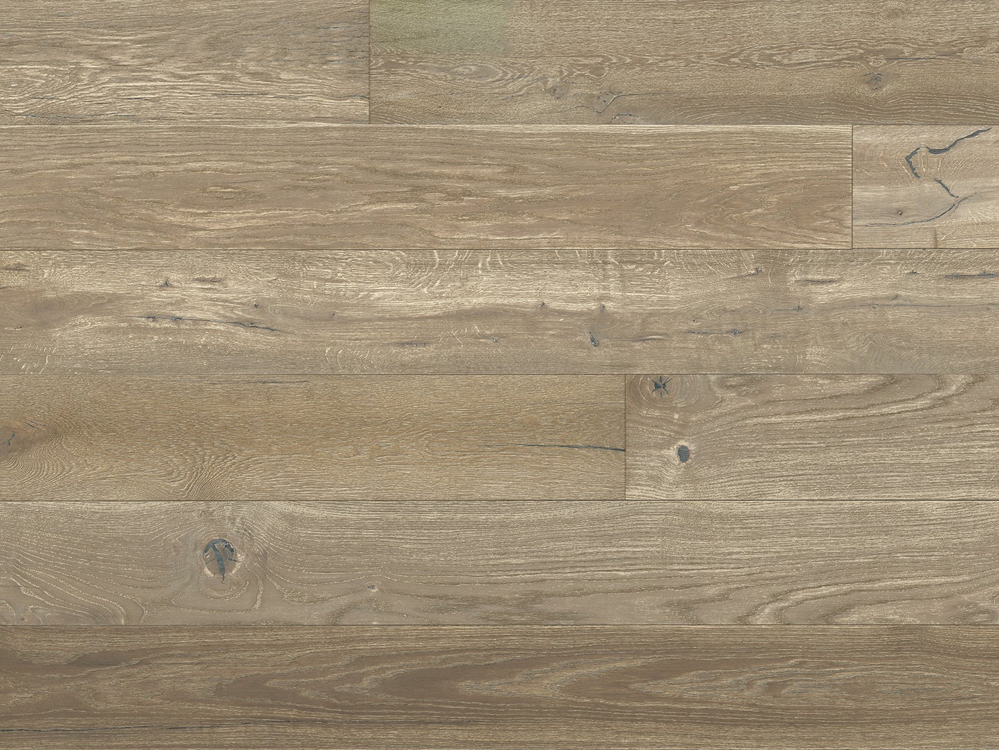 Manor Collection - Sample 12"