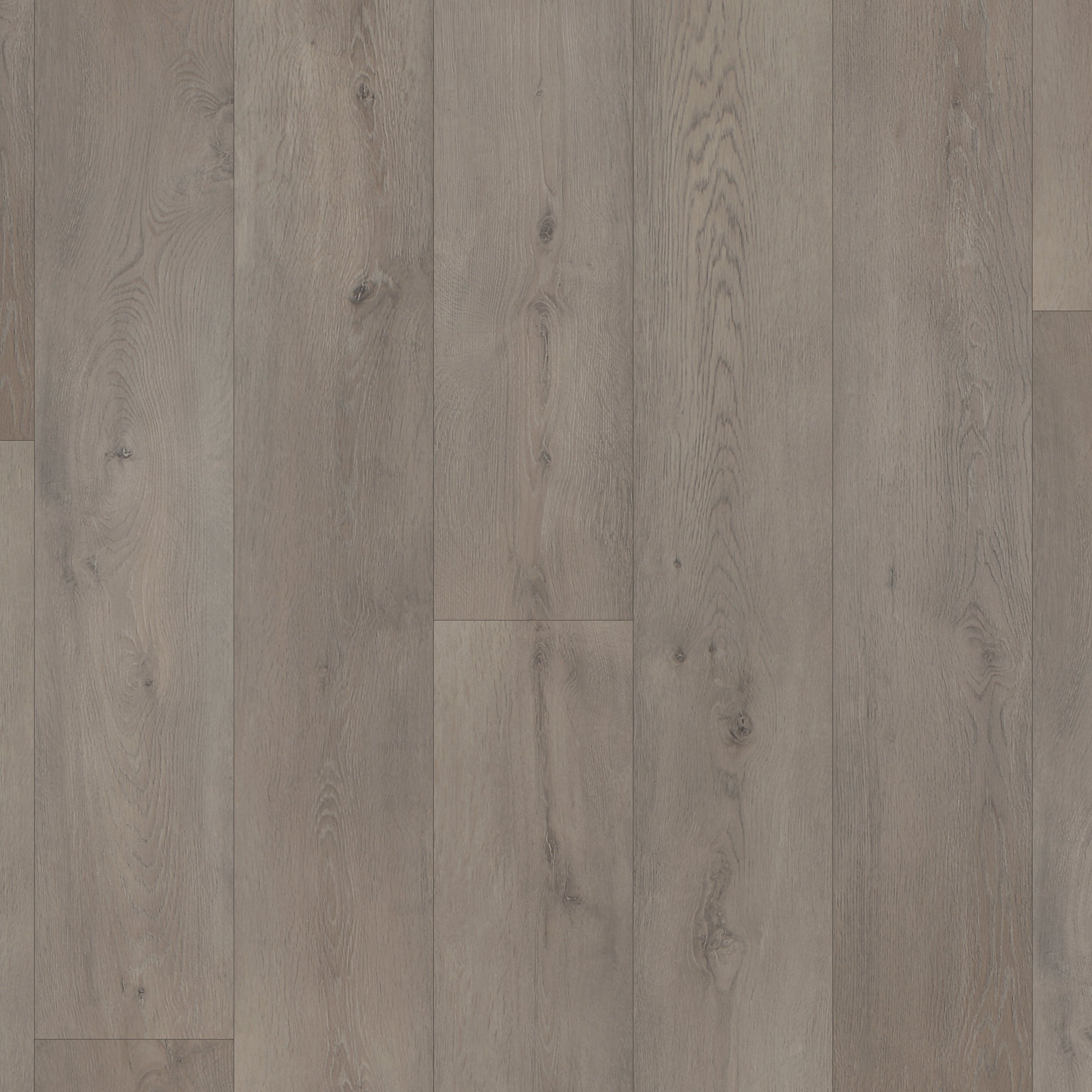 Bering / 12mm X 8.03