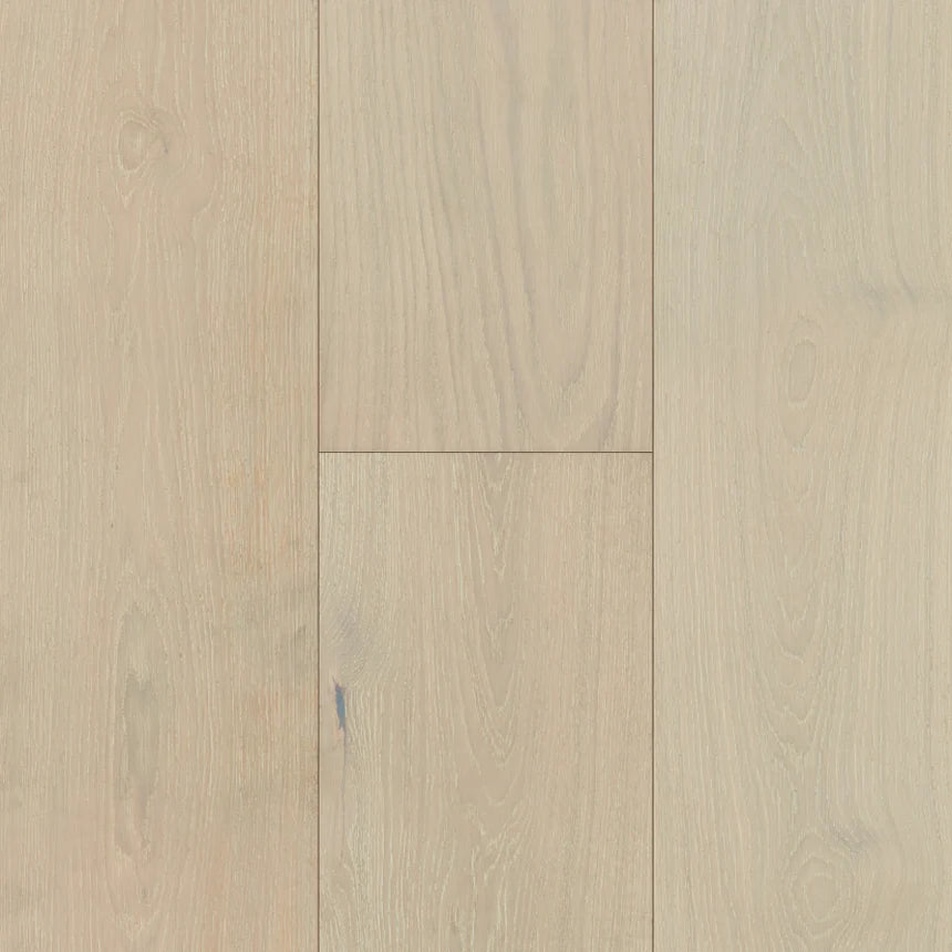 Southern Charm - Sample 12"