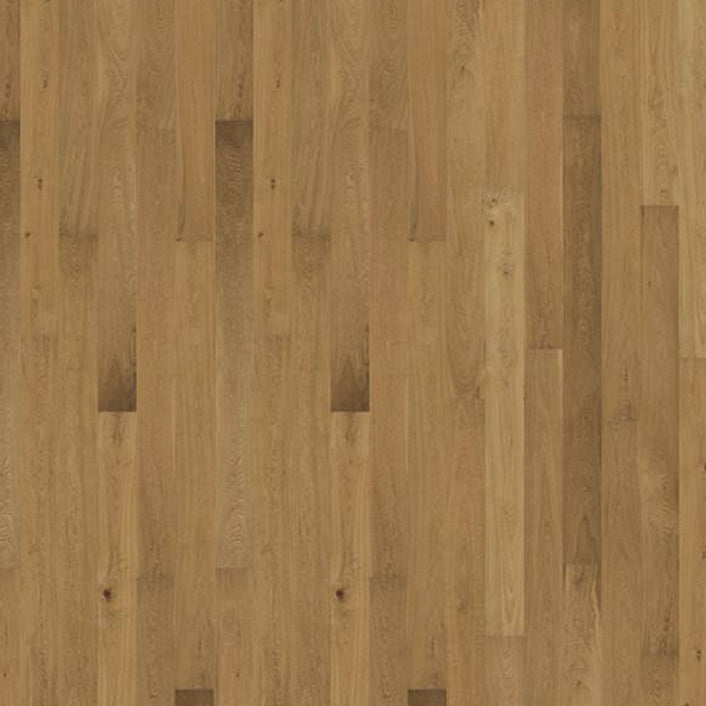 Avanti Sonata Collection Sample 12"