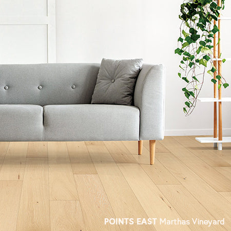 Martha's Vineyard / 1/2