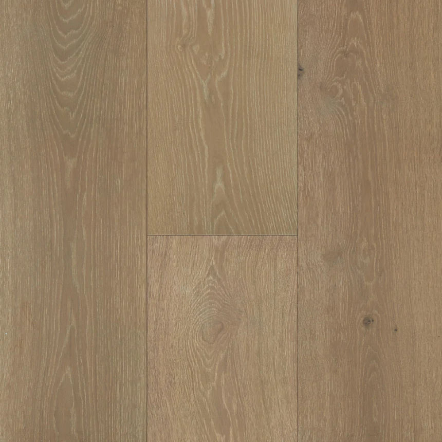 Southern Charm - Sample 12"