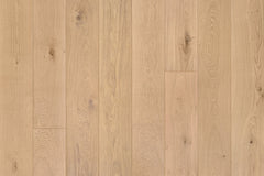 Beverly Hills Collection