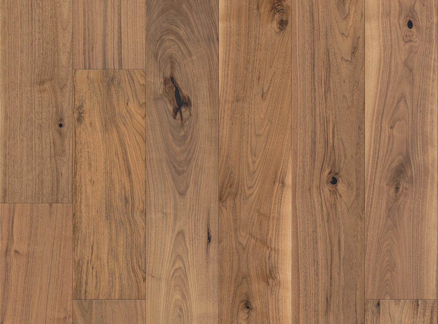 Revival Walnut - Sample 12"