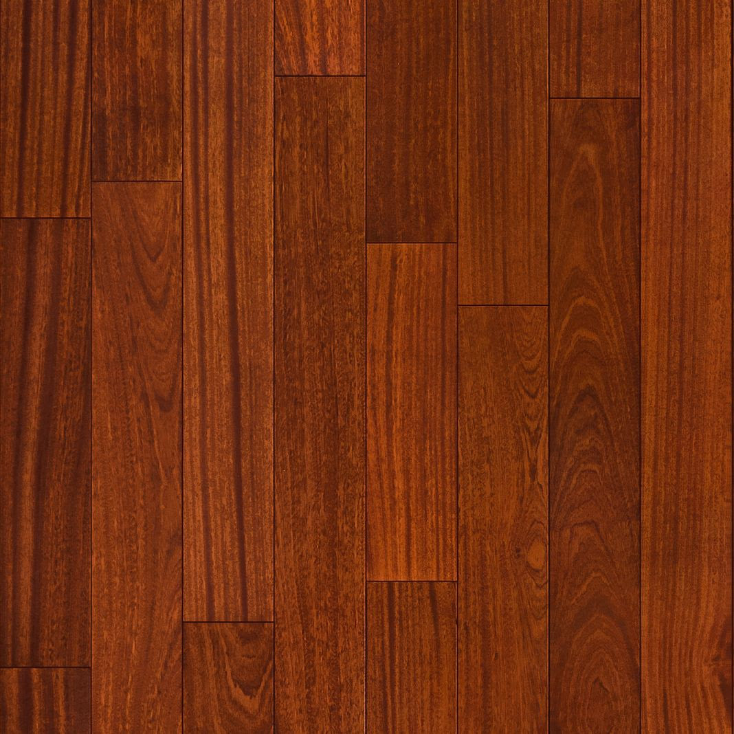 Exotics Collection - Sample 12"