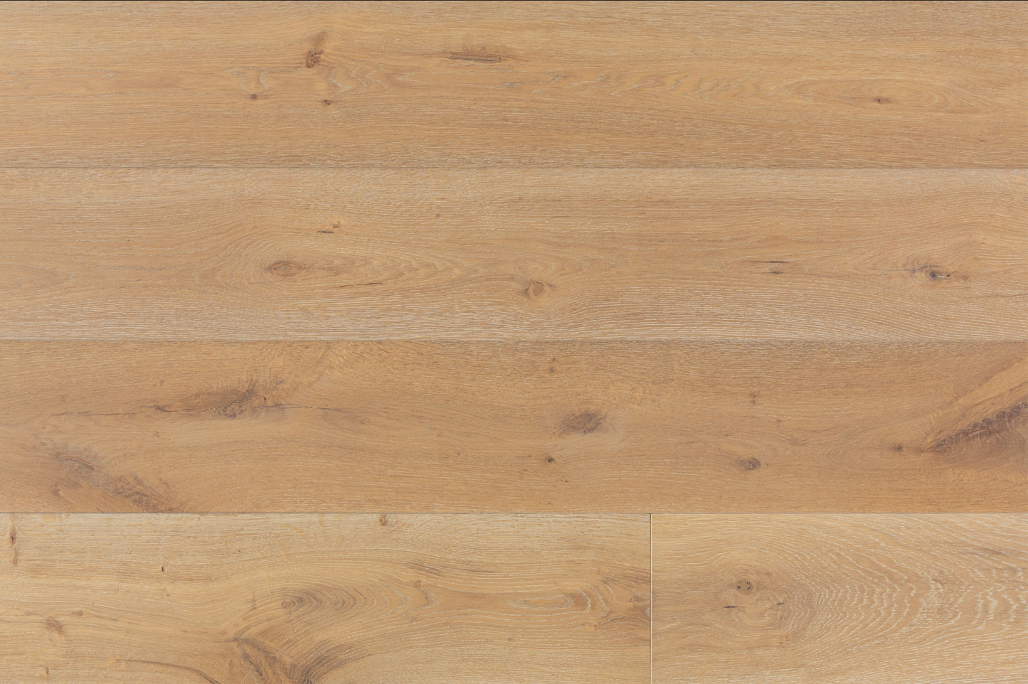 Throne Collection - Sample 12"