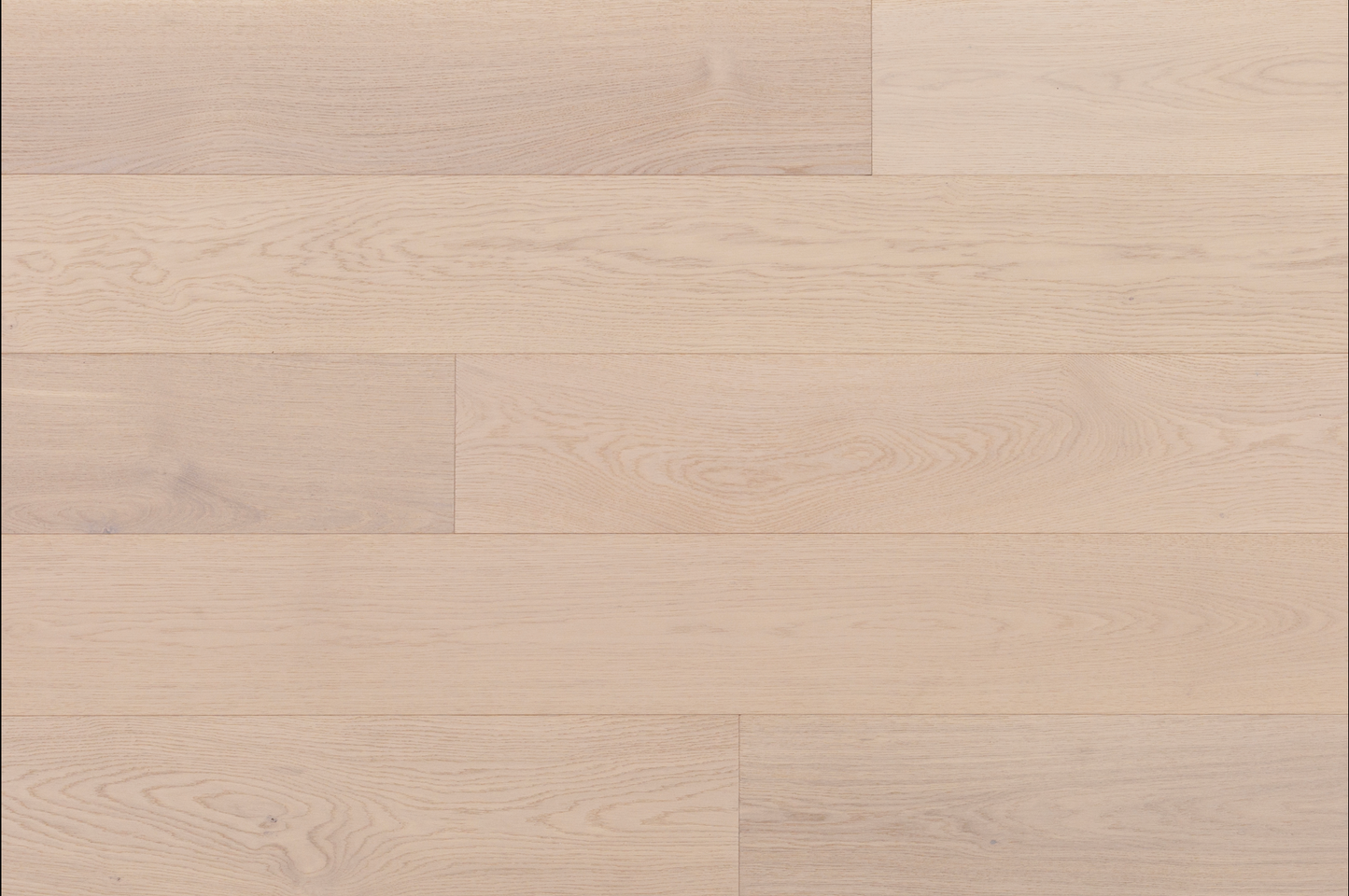 Prime Collection II - Sample 12"