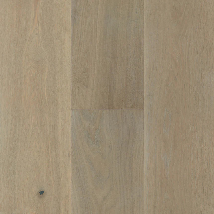 Southern Charm - Sample 12"