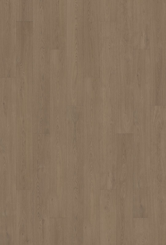 Watershed Collection - Sample 12"