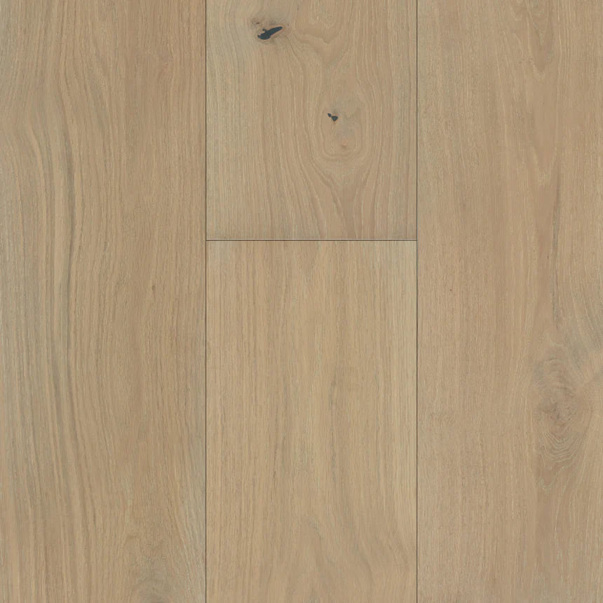 Southern Charm - Sample 12"