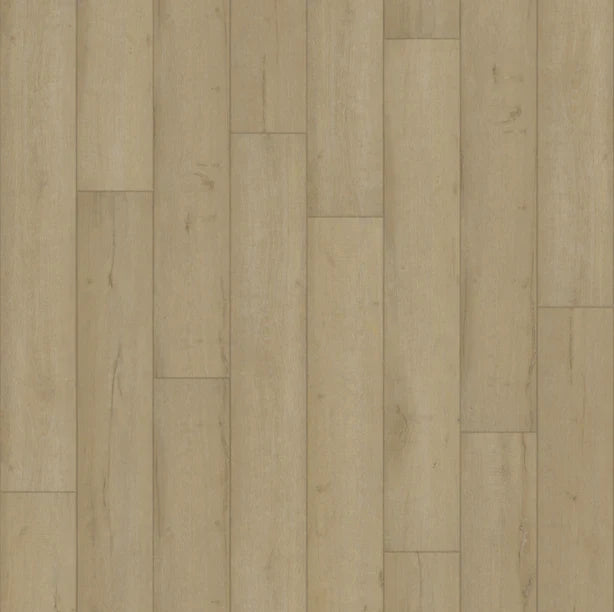 Insignia - Sample 12 Insignia - Sample 12