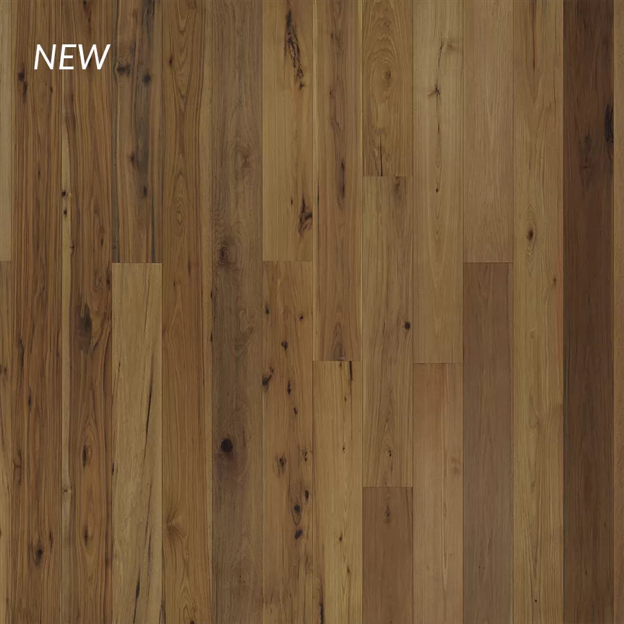 True Hardwood Collection - Sample 12"