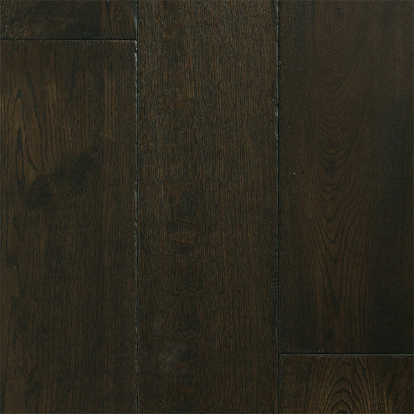Charleston Collection