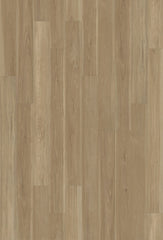 Watershed Collection - Sample 12"