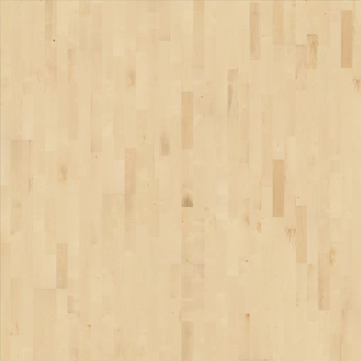 European Maple 🍁 Gotha / 36.59 SF/CTN / 1/2” x 7.88” x 8’RL