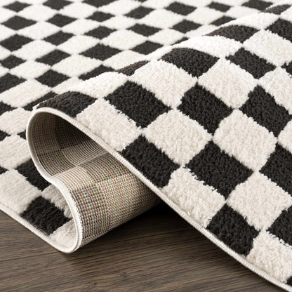 Lajos Black & White Checkered Plush Rug