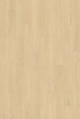 Watershed Collection - Sample 12"