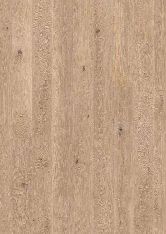 Live Matte Plank Engineered Hardwood - Sample 12"