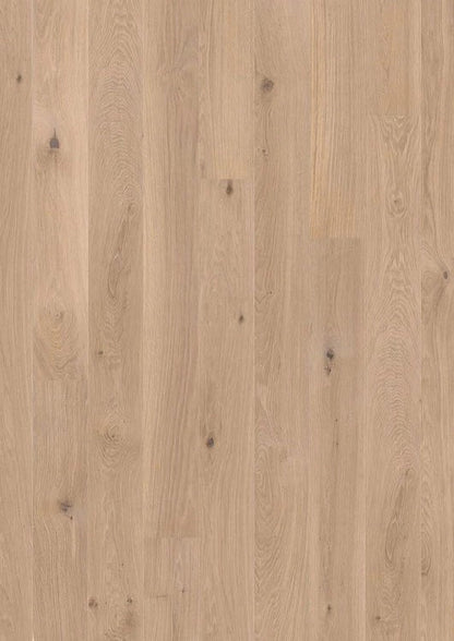 Live Matte Plank Engineered Hardwood - Sample 12"