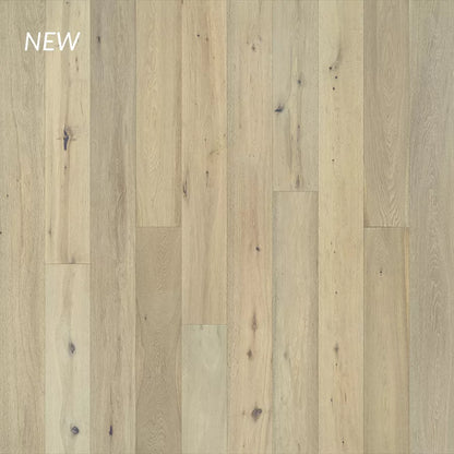 True Hardwood Collection - Sample 12"