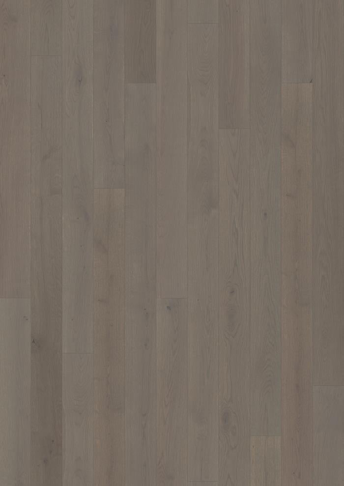 Canvas Collection