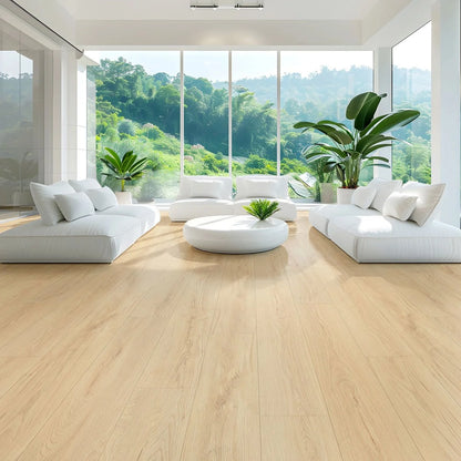 EVOLV™ West Coast Collection - Sample 12"