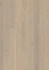 Live Pure 8.25" Engineered Hardwood - Sample 12"