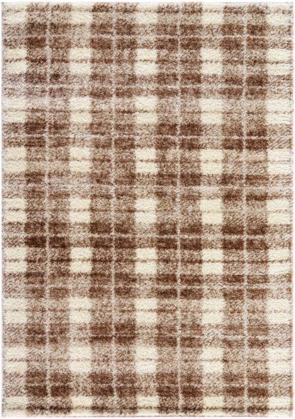 Anfisa Beige Luxe Shag Area Rug