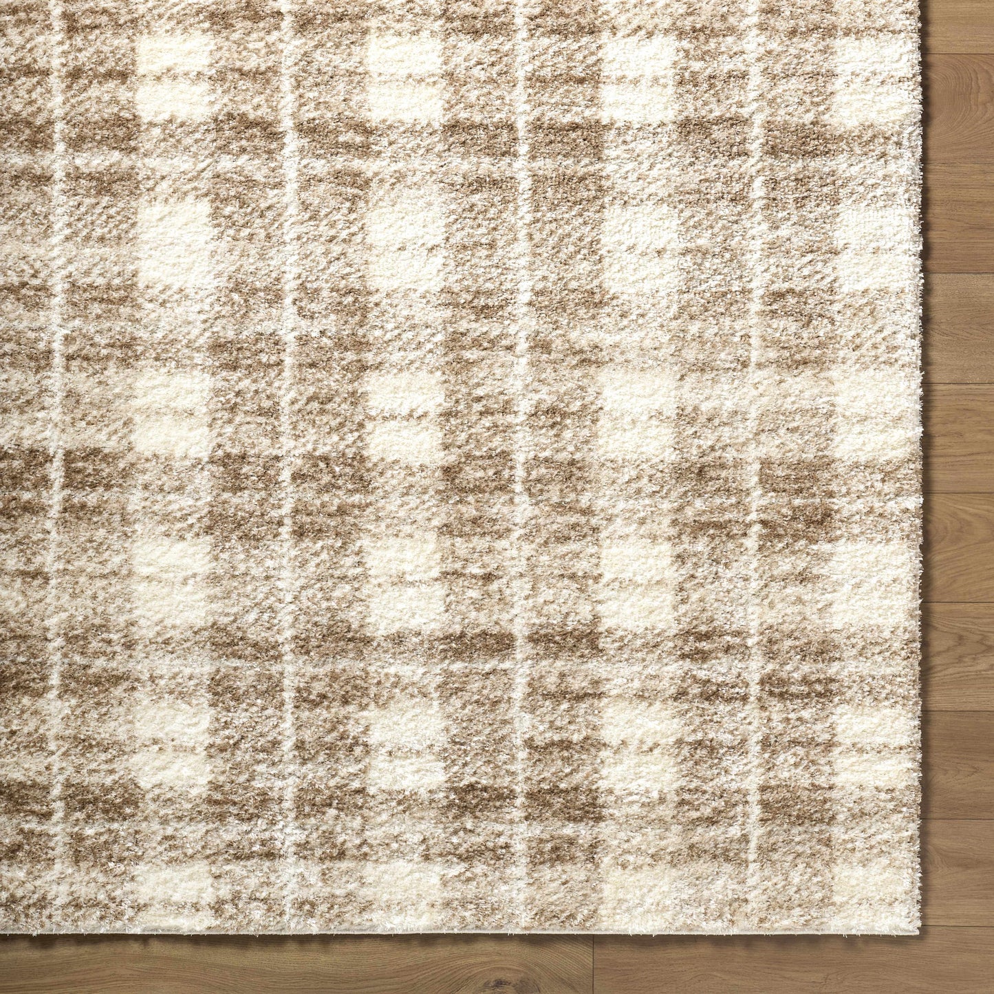 Anfisa Beige Luxe Shag Area Rug