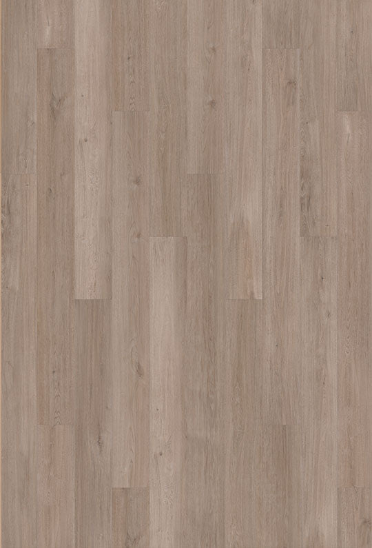 Watershed Collection - Sample 12"
