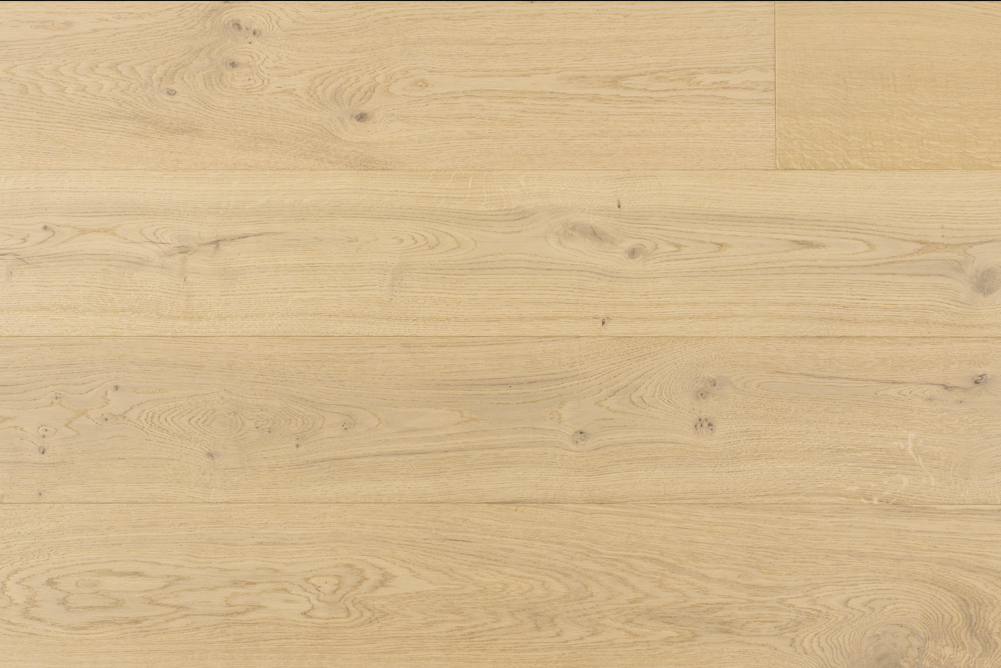 Braavos / 5/8″ X 9 1/2