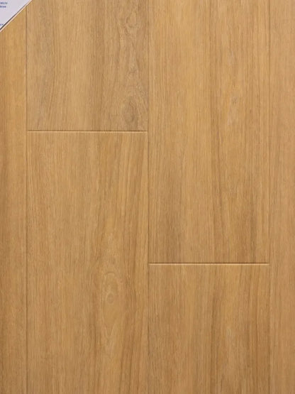 ProTek Plus Collection - Sample 12"