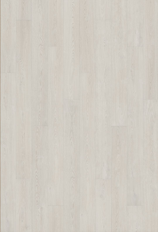 Watershed Collection - Sample 12"