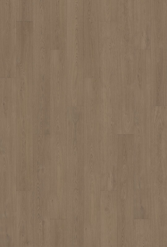 Watershed Collection - Sample 12"