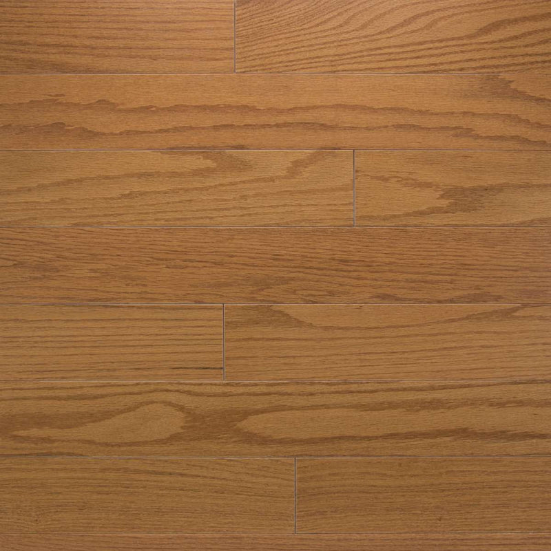 Color Plank Collection Solid Hardwood - Sample 12"