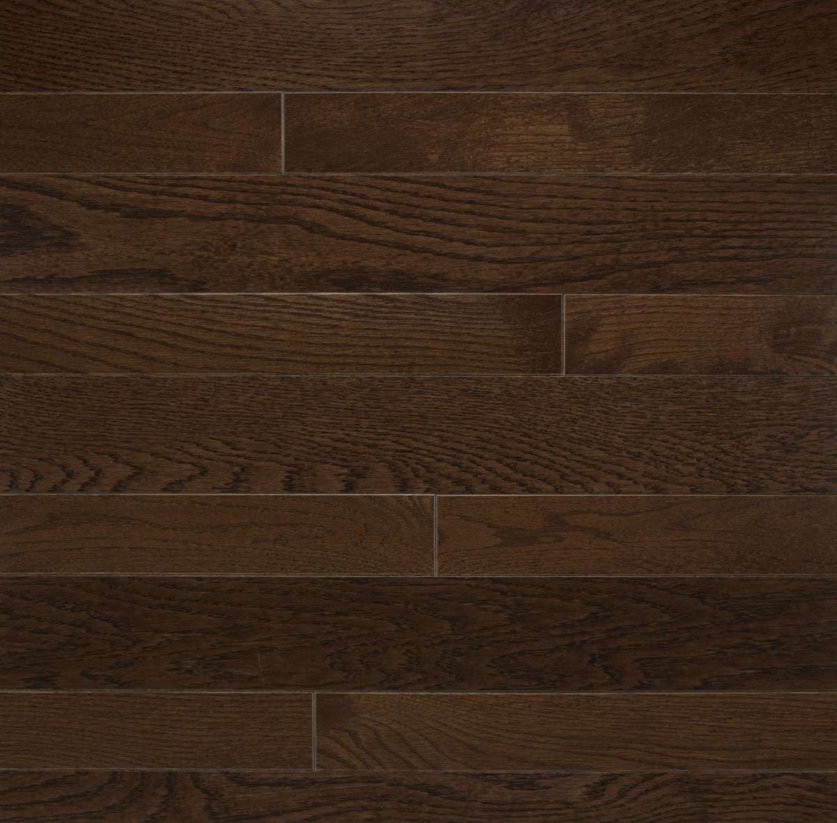 Homestyle Collection Solid Hardwood Flooring - Sample 12"