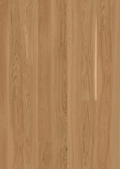 Live Matte Plank Engineered Hardwood