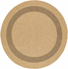 Andie Bordered Faux Jute Rug